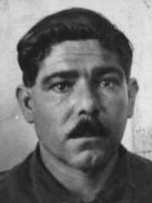 José Manuel Alves dos Reis
